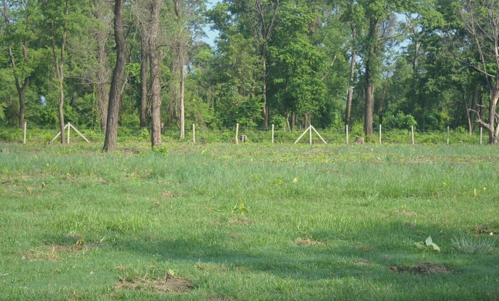 बर्दियामा दिगो वन व्यवस्थापनका लागि नयाँ बिरुवा रोपण गरिँदै