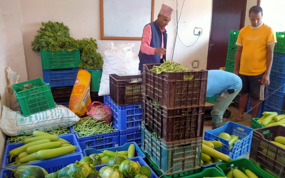 यस्तो छ आजको तरकारी र फलफूलको थोक मूल्य