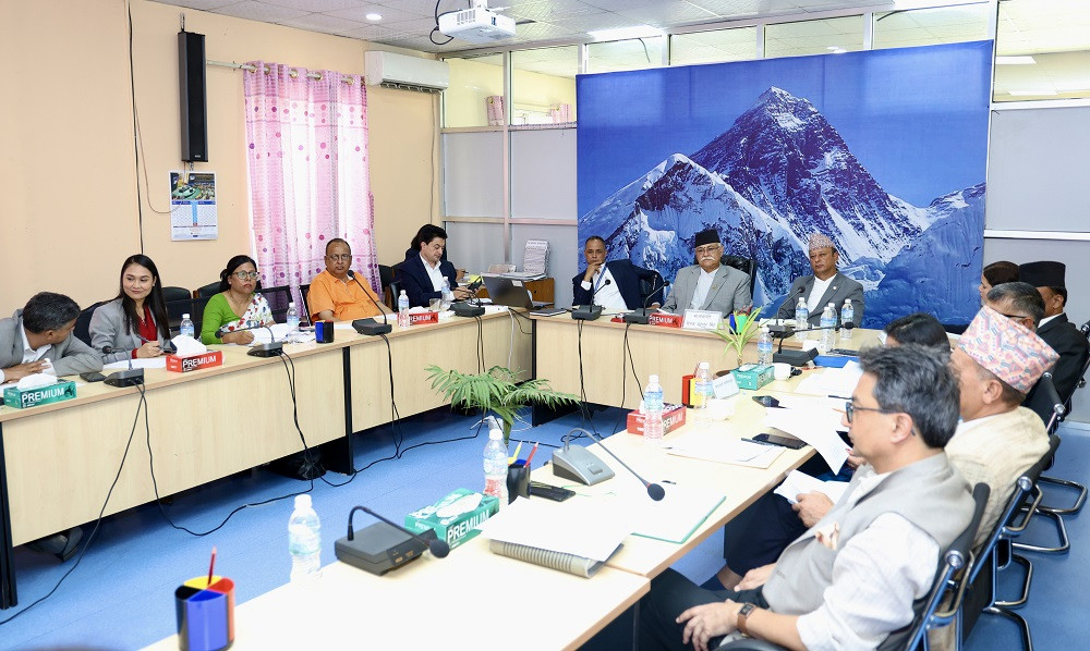 विद्युत् क्षेत्रको विकासमा निजी क्षेत्रलाई प्रोत्साहित गर्नुपर्नेमा सांसदको जोड