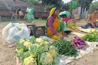 यस्तो छ आजको तरकारी र फलफूलको थोक मूल्य