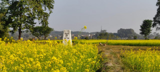दशगजा वारिपारि पहेँलपुर तोरीबारी :  गाउँको आधा भाग नै भारततिर