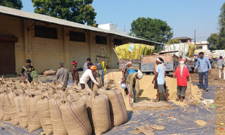 जनकपुरधाम खाद्यमा लक्ष्यको तुलनामा धान खरिद कम