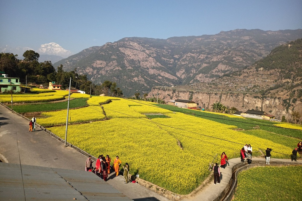 तोरी फुलेर पहेँलपुर रत्नेचौर, बाक्लिँदै आन्तरिक र बाह्य पर्यटक