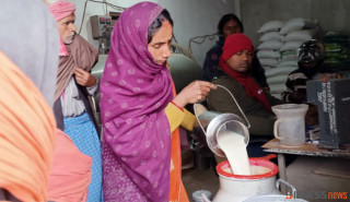 सरकारले तोकेको मूल्य पाउँदैनन् दुग्ध उत्पादक किसान
