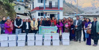 महिलालाई आयआर्जनसँग जोड्न मौरीघार उपहार