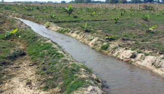 किसानको आयआर्जन बढाउन कचनकवलमा बगरखेती प्रवर्द्धन