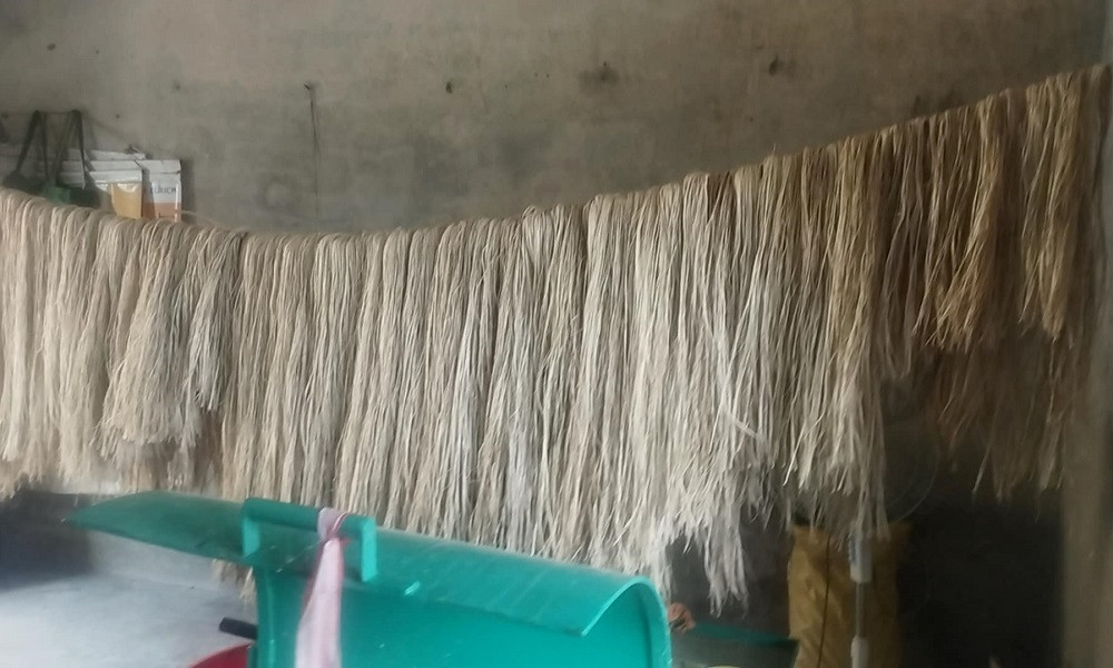 केराको रेसाबाट उत्पादित सामग्रीको माग बढ्दो