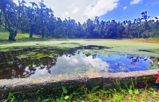 रुद्रतालमा पर्यटक आगमन बढेसँगै संरक्षणमा जुट्यो ढोरपाटन, २५ लाख बजेट छुट्याएर व्यवस्थित बनाउन थालियो